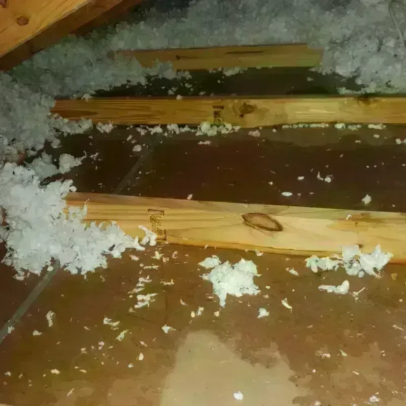 Attic Water Damage in Benson, NC