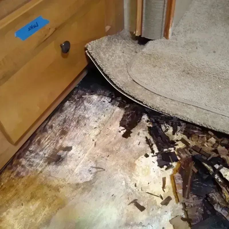 Wood Floor Water Damage in Benson, NC